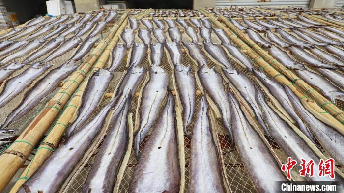 渔村村民一天晒出的鱼鲞品种至少10余种 吴立高供图